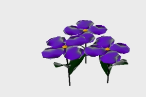 3d Blume