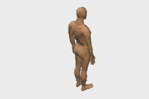 Human figure 3d