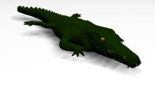 Crocodilo 3d