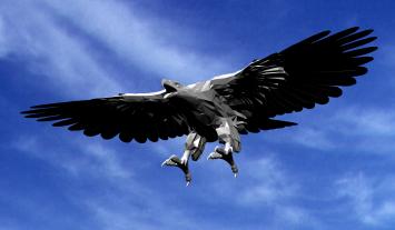Oiseau 3D - Condor