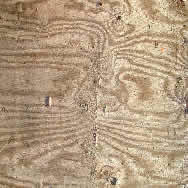 Texturen aus Holz