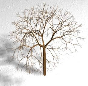 3D Tree