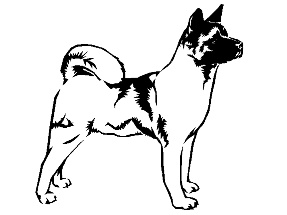 Cachorro Akita Inu.