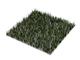 Grass in block