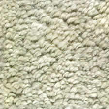 Carpet-2