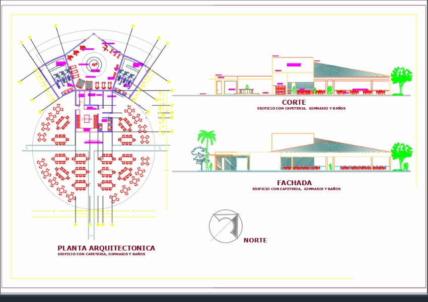 Cafetería y gimnasio