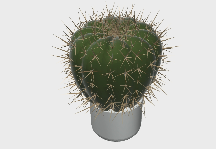 3d Kaktus