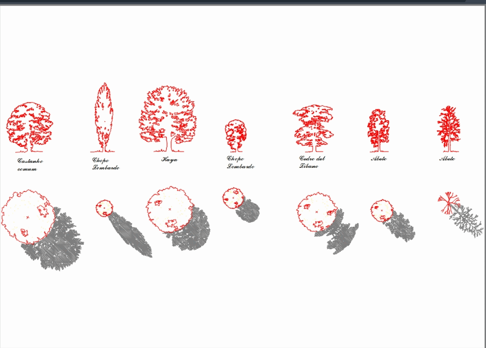 Arboles de europa en alzado y planta con sombras (982.63 KB) | Bibliocad