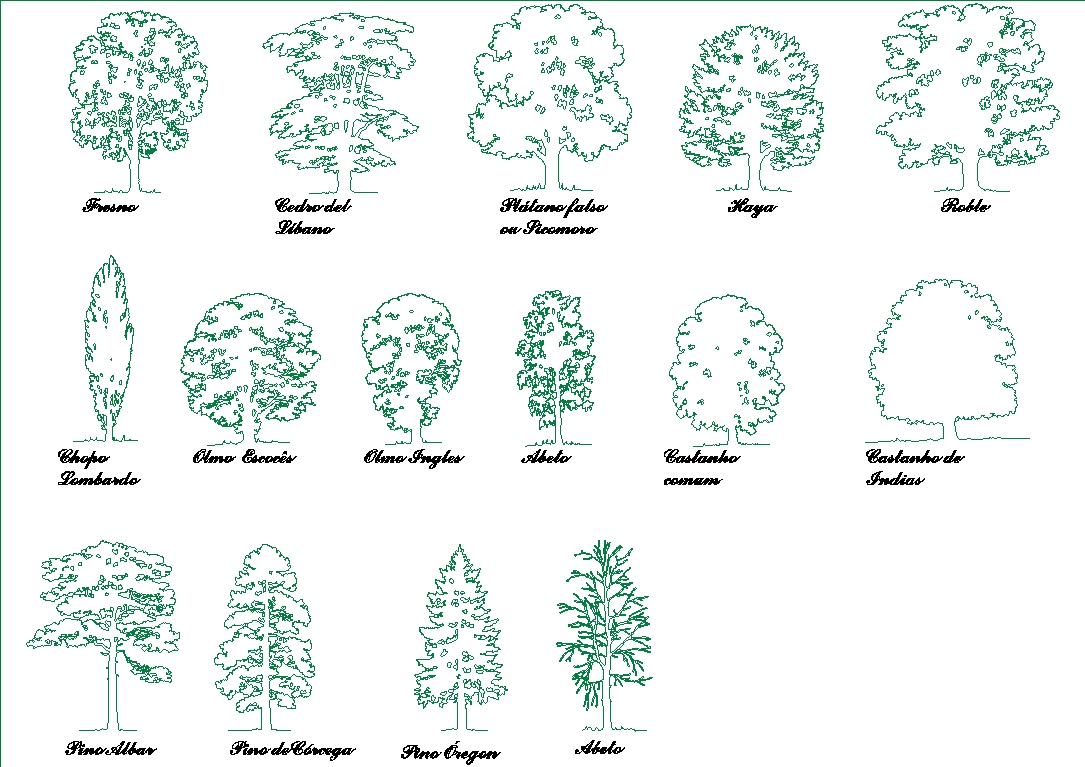 Trees of Europe in elevation