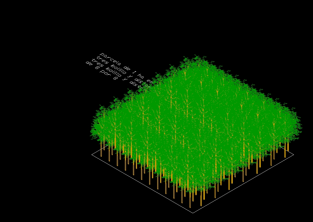 Plantación forestal en 3D