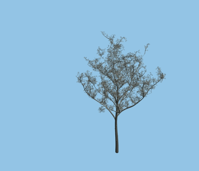 3d Tree