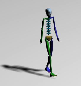 Schritte Animation - Skelett