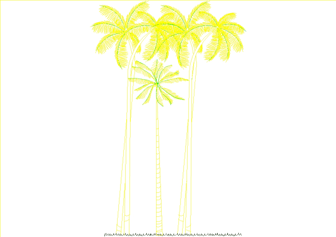 végétation de palmiers