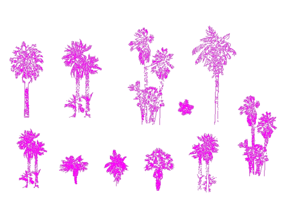 blocs de palmiers