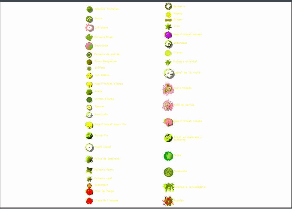 botanical classification