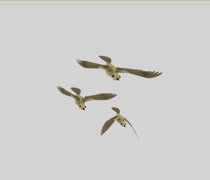Aves volando  3d