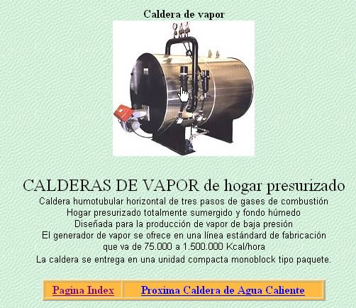 Steam boiler -  Monographs guides and papers
