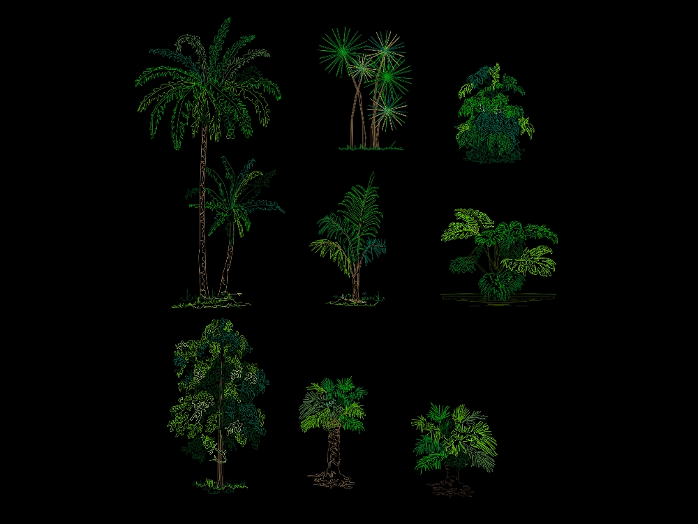trees and palms