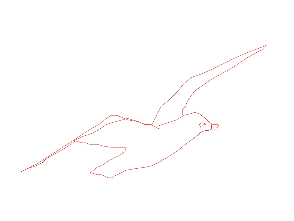 Oiseau volant