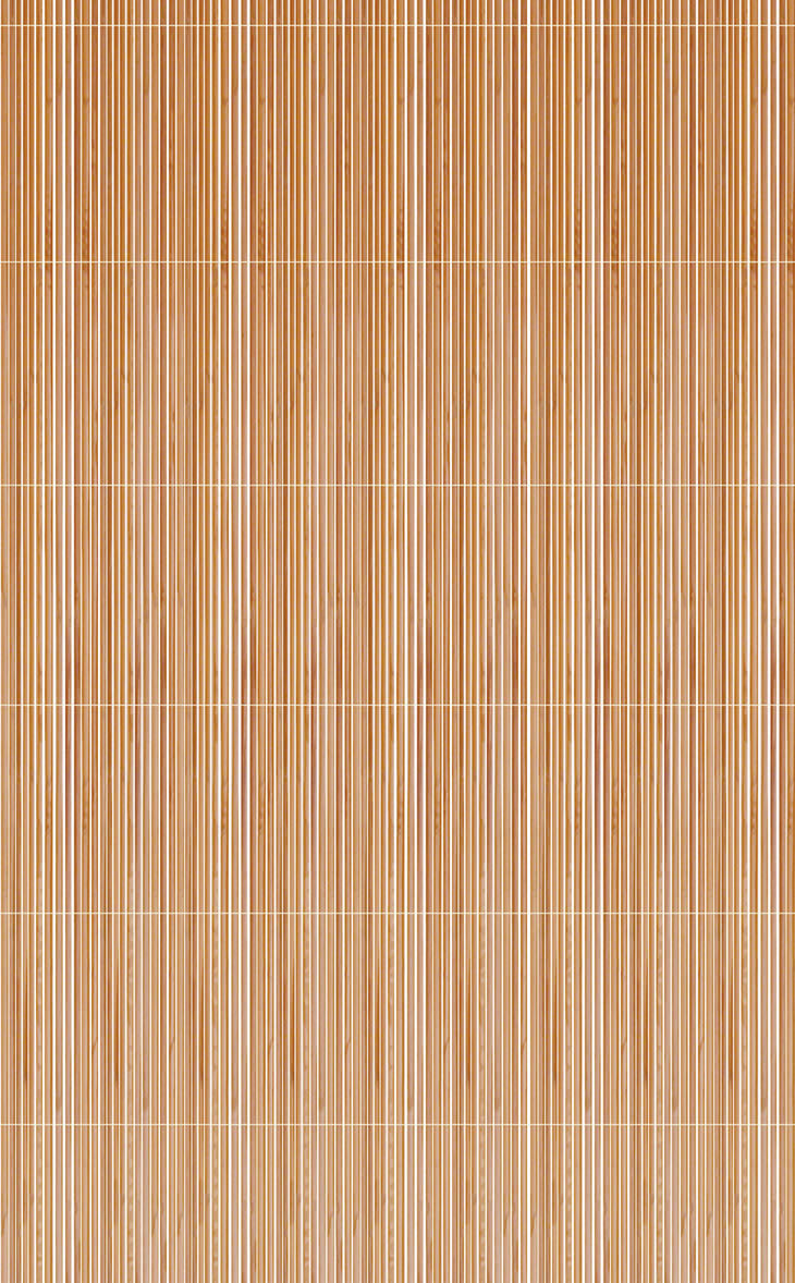 Textura de bambu