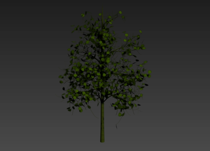 Tree 3d
