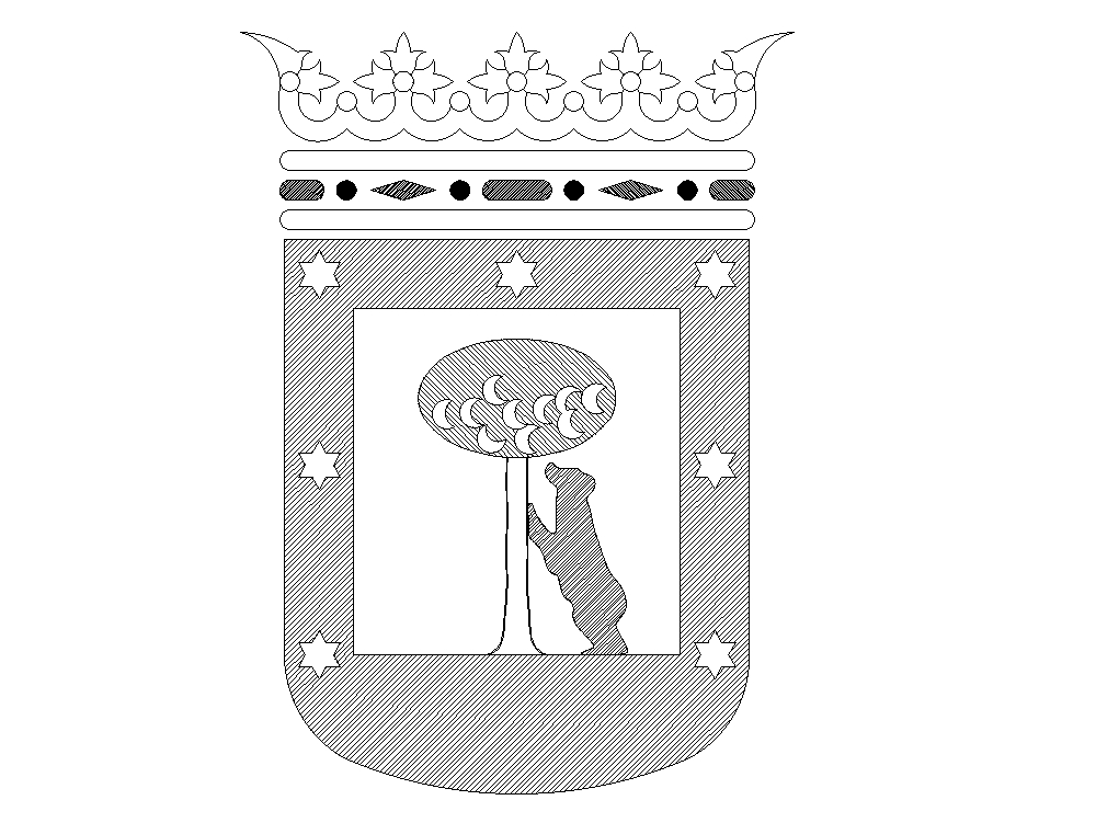 shield of madrid