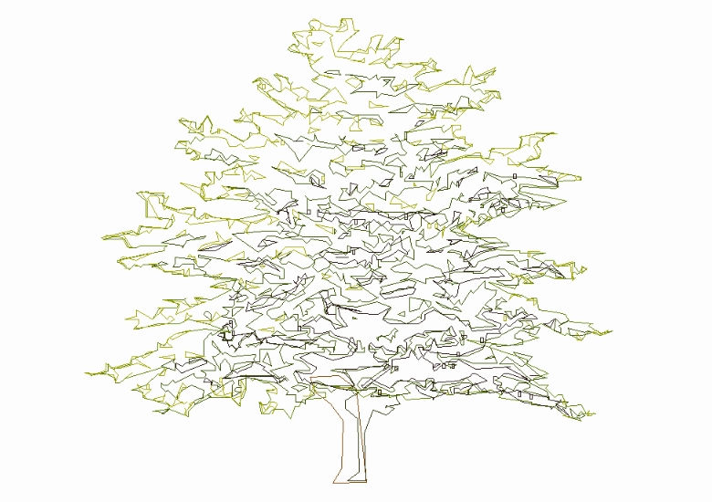 Trees in 2D