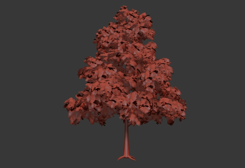 Árvore Quercus Petraea 3D