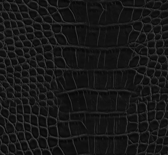 Black Crocodile Leather Texture