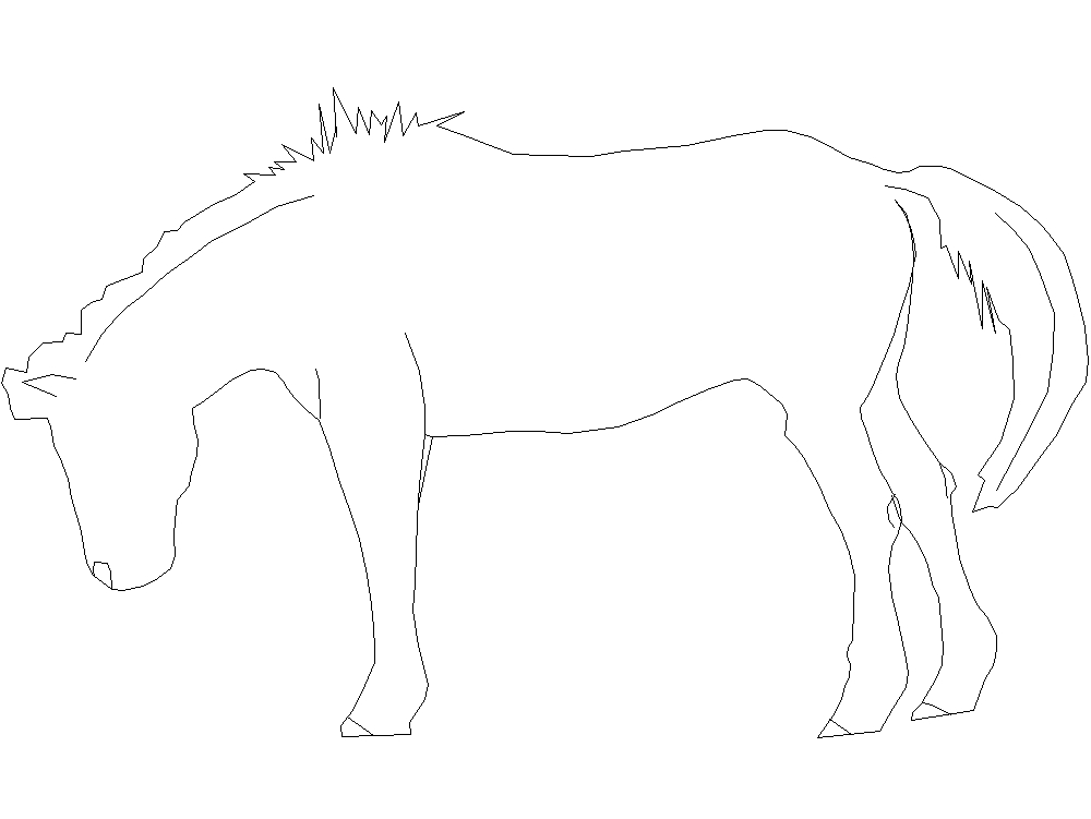 silhouette de cheval