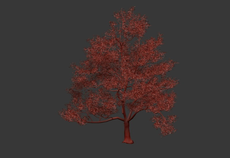 Arbres 3D / arbre / projets architecturaux 3D appropriés