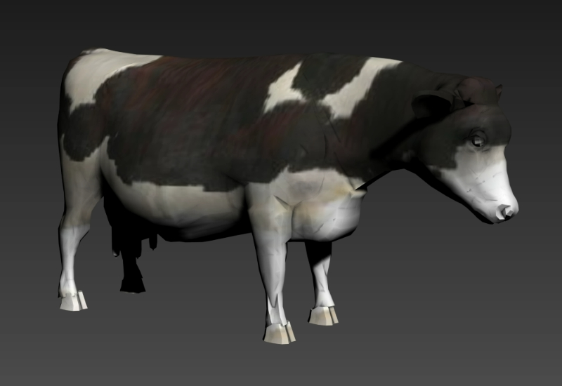 Cows 3d