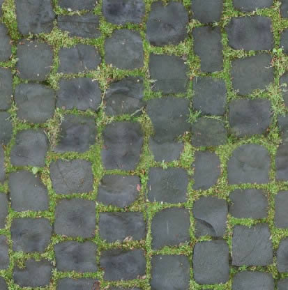 paving stone and grass