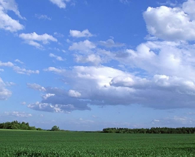 Grüner Bauernhof und blauer Himmel