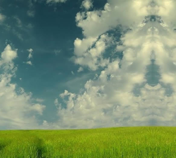 Himmel mit Wolken und grünen Feldern