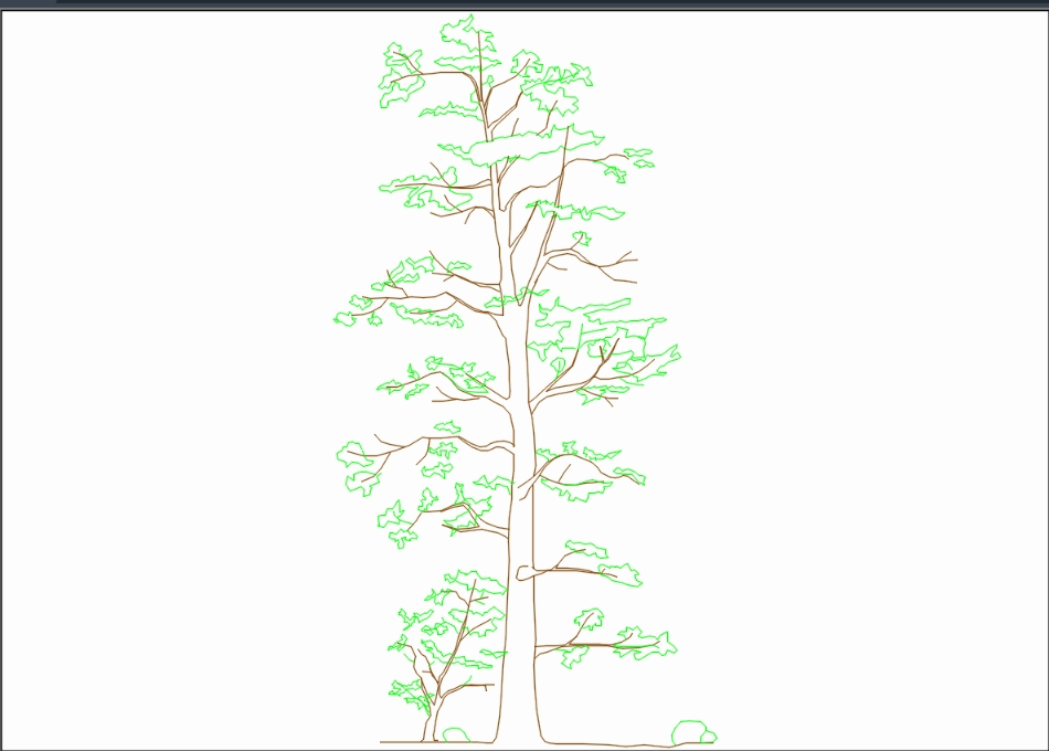 árbol 