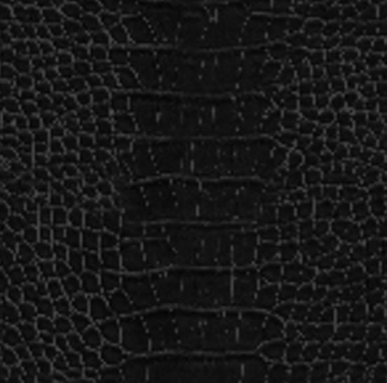 Texture de cuir de crocodile noir