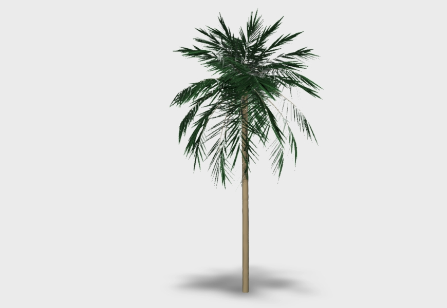 Palm 3d