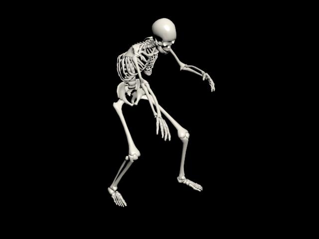Squelette 3d