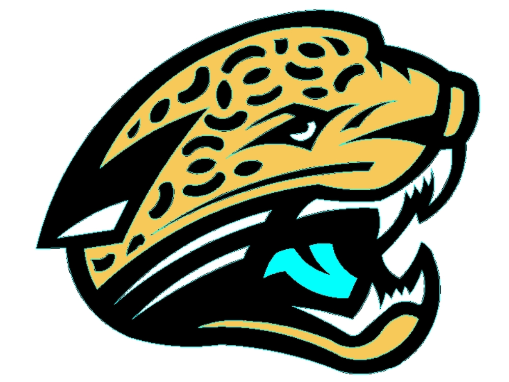 Jacksonville Jaguars.