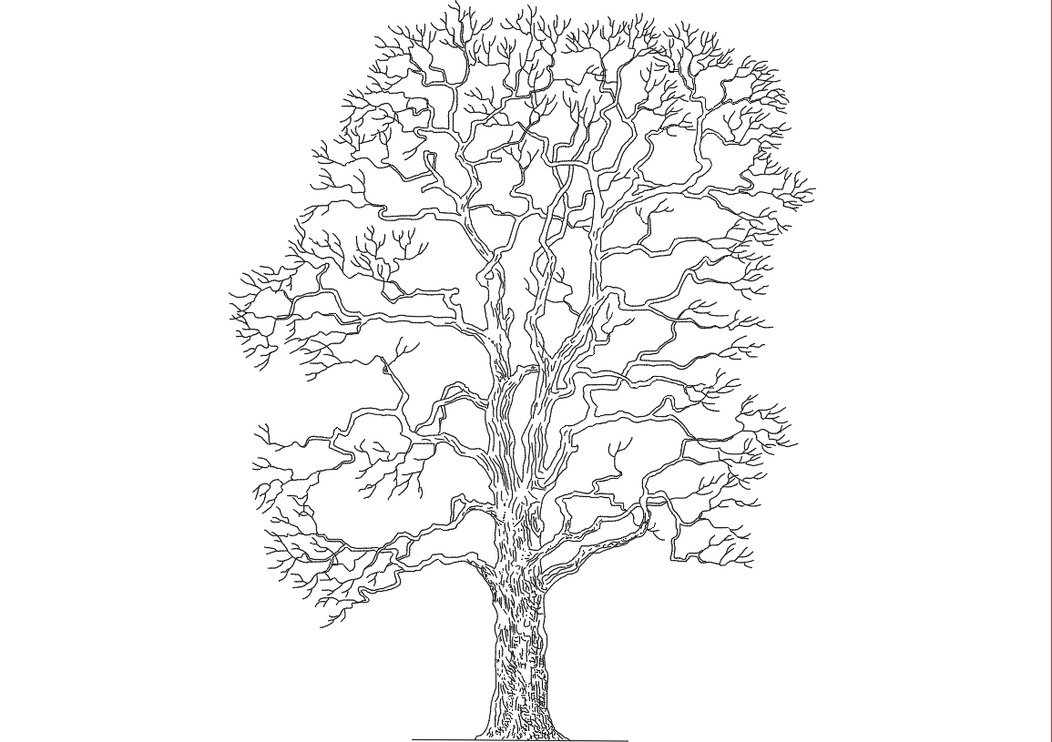 complex tree