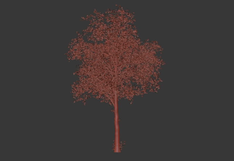 Árvore 3d max