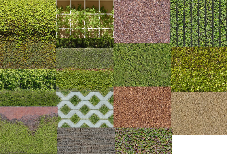Texture d'herbe de haute qualité