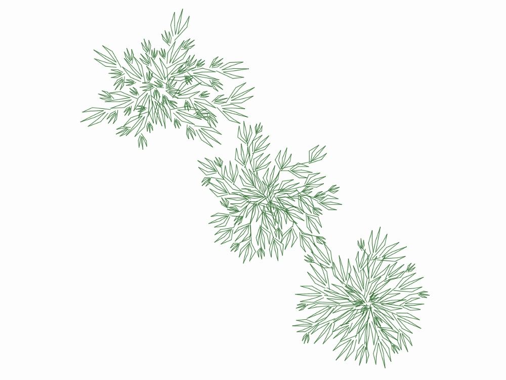 Plants
