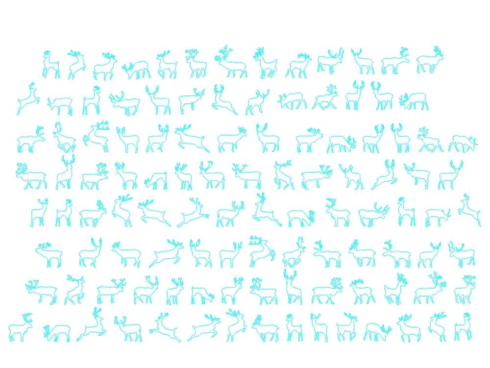 Reindeers