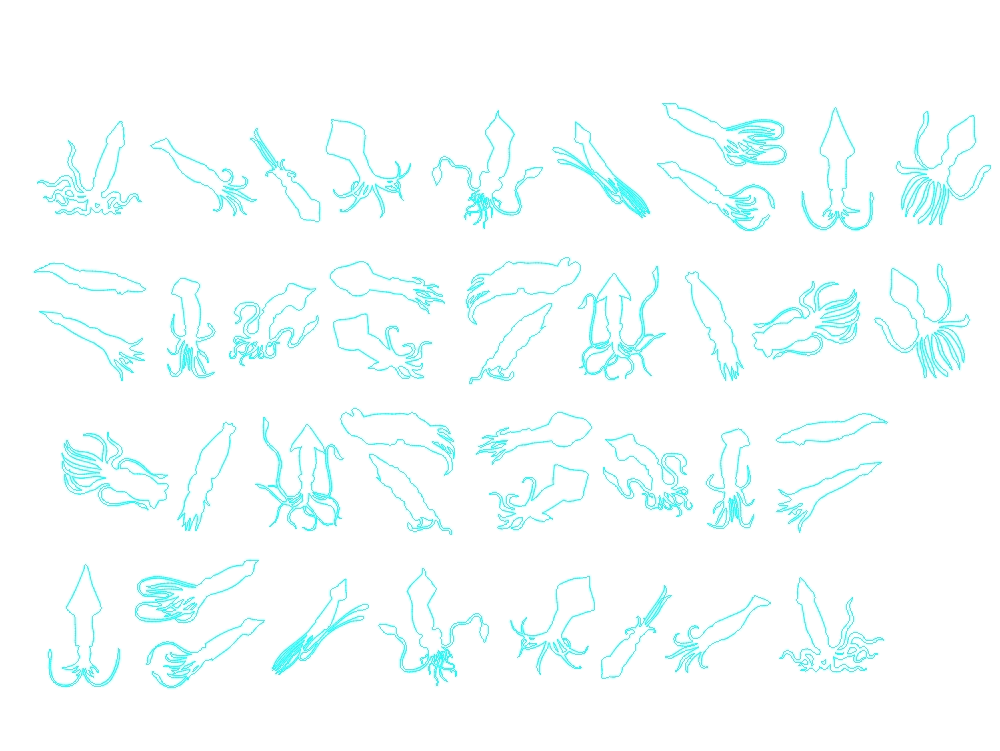 Squids