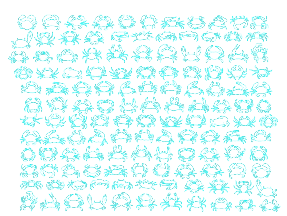 Crabs