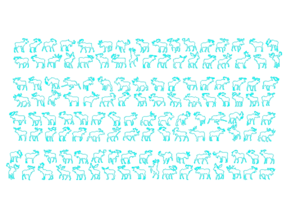 Moose