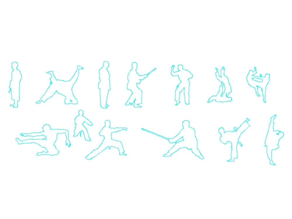 Silhouettes of people doing martial arts.