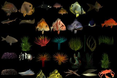 Fish collection PNG